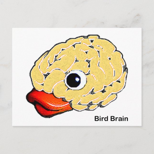 Bird Brain Postcard (Front)