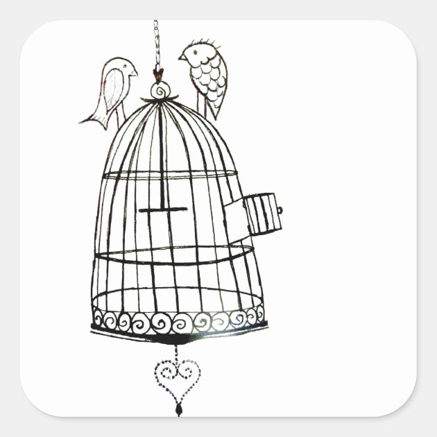 simple birdcage drawing