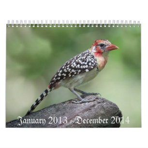 Bird Calaender 2013-2014 Calendar
