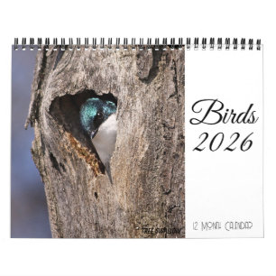 Bird Calendar 2026