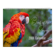 Bird Calendar Pick Your Start Month / Year