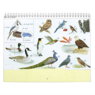 Bird Calender 1 Calendar
