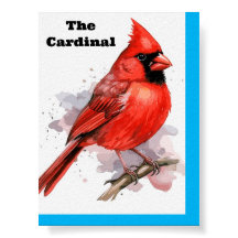 Bird Cardinal Poster