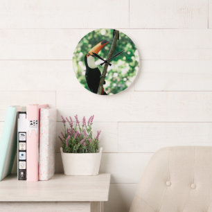  Bird Clock 