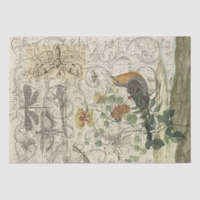 Bird Collage Tissue Paper (Front)