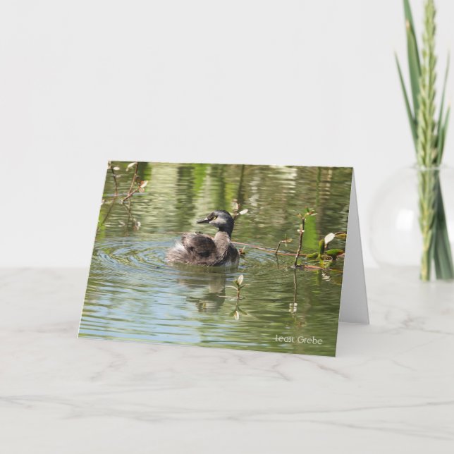 Bird Collection: Least Grebe (blank notes) Card (Front)