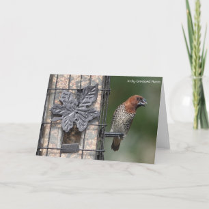 Bird Collection: Spice Finch (blank notes) Card