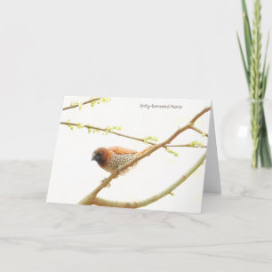 Bird Collection: Spice Finch (blank notes) Card