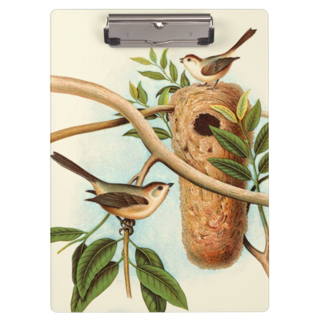 Bird Couple on a Nest Perched on a Branch Clipboard (Front)