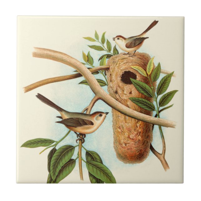 Bird Couple on a Nest Perched on a Branch Tile (Front)