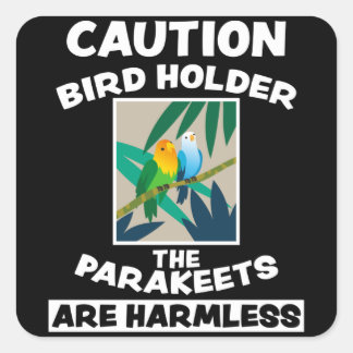 Bird Cute Exotic Animal Design Birds Friends Gift Square Sticker
