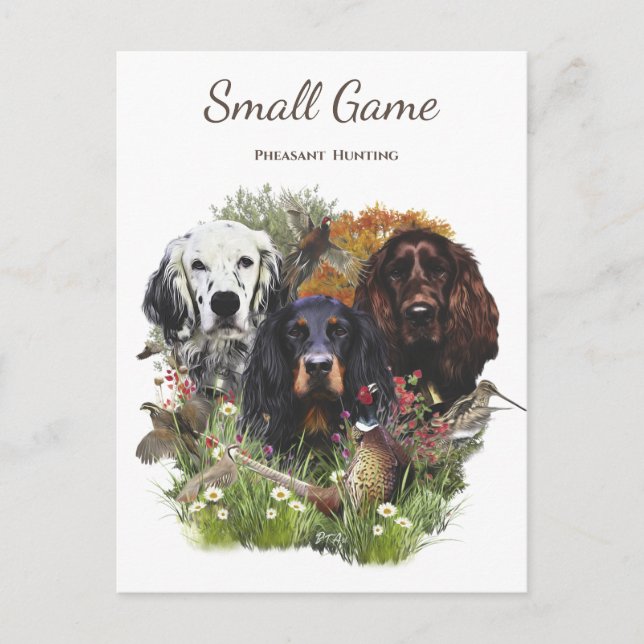 Bird dog , pheasant  hunting postcard (Front)