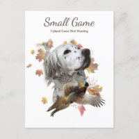Bird dog , Upland Game Bird Hunting