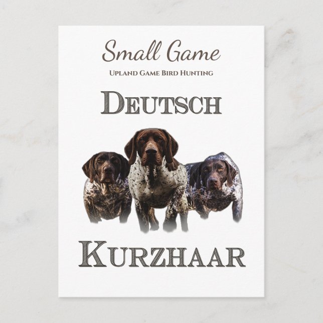 Bird dog , Upland Game Bird Hunting Postcard (Front)