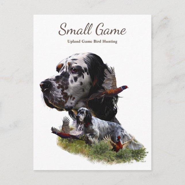 Bird dog , Upland Game Bird Hunting Postcard (Front)