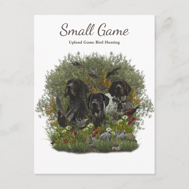Bird dog , Upland Game Bird Hunting Postcard (Front)
