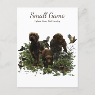 Bird dog , Upland Game Bird Hunting Postcard