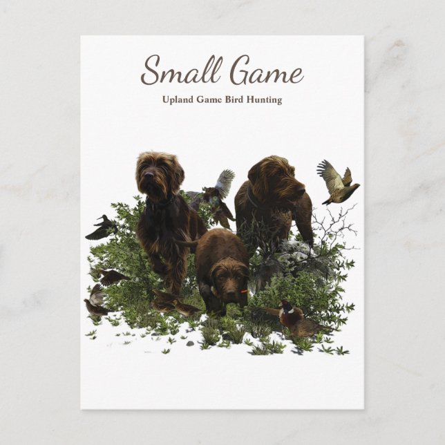 Bird dog , Upland Game Bird Hunting Postcard (Front)