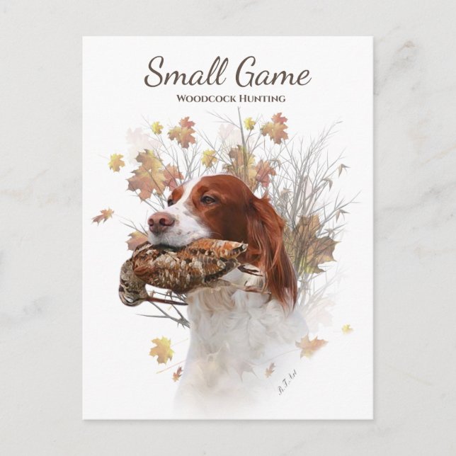 Bird dog , woodcock hunting holiday postcard (Front)