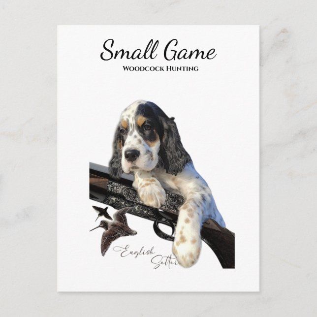 Bird dog , woodcock hunting postcard (Front)