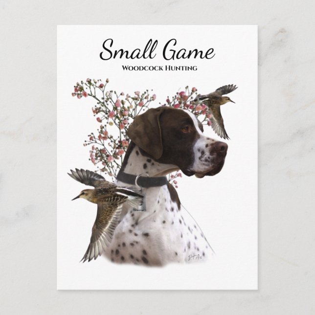 Bird dog , woodcock hunting postcard (Front)