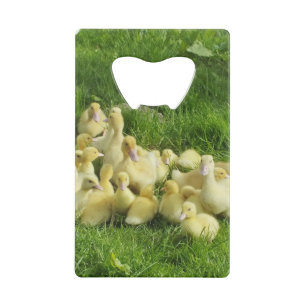 bird, duck, duckling, yellow, nature, cute, baby, credit card bottle opener