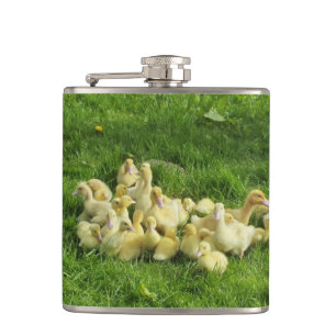 bird, duck, duckling, yellow, nature, cute, baby, hip flask