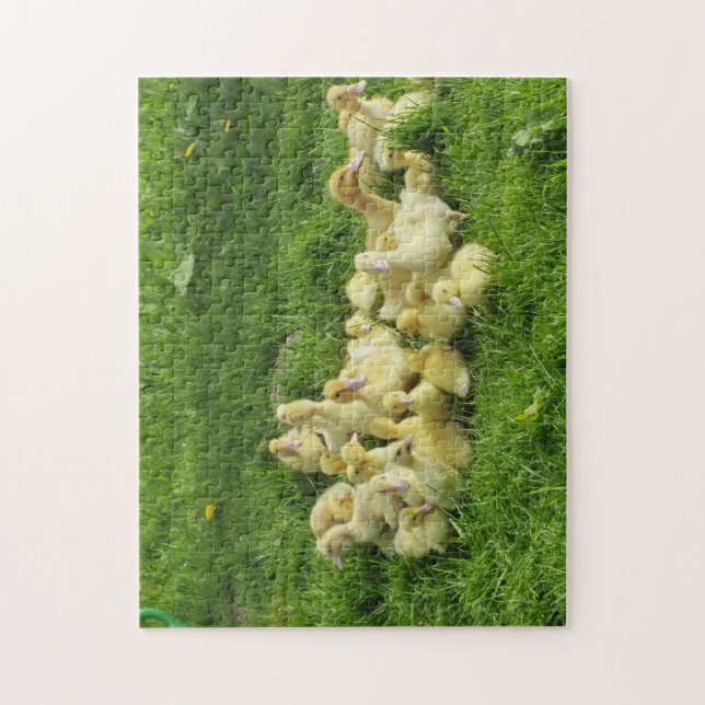 bird, duck, duckling, yellow, nature, cute, baby, jigsaw puzzle (Vertical)