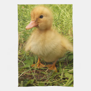 bird, duck, duckling, yellow, nature, cute, baby, kitchen towel