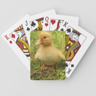 bird, duck, duckling, yellow, nature, cute, baby, playing cards