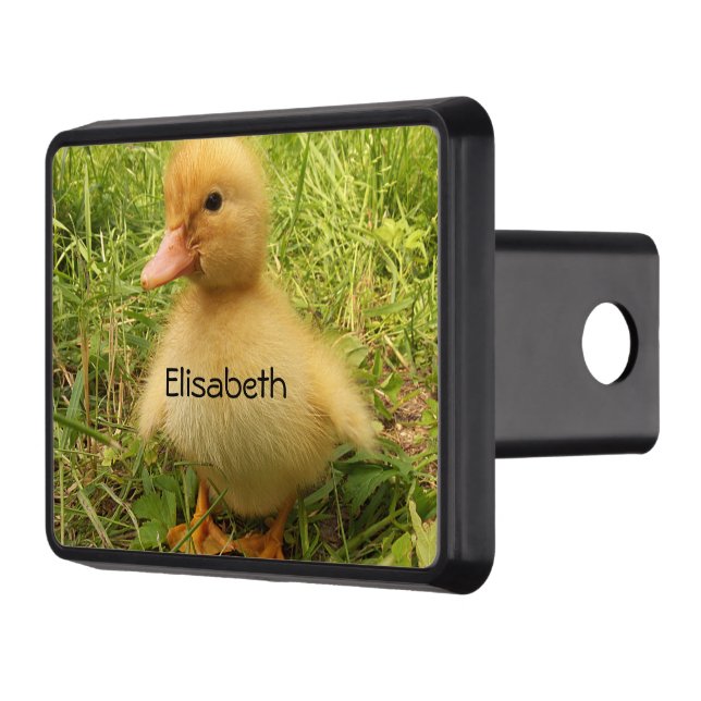 bird, duck, duckling, yellow, nature, cute, baby,  trailer hitch cover (Left)