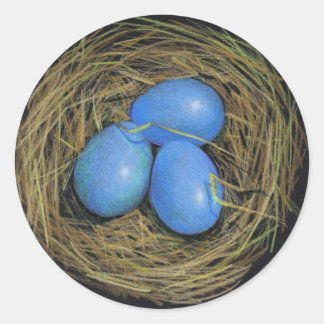 BIRD EGGS IN NEST: REALISM ART: STICKERS