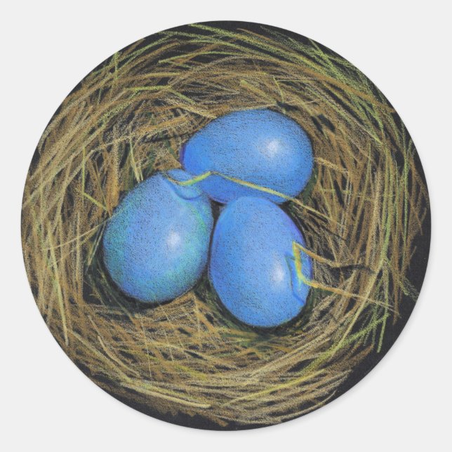 BIRD EGGS IN NEST: REALISM ART: STICKERS (Front)