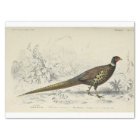 Bird Ephemera Decoupage French Pheasant