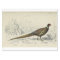Bird Ephemera Decoupage French Pheasant