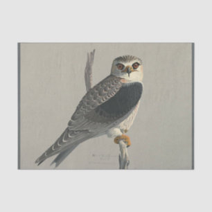 Bird Ephemera Decoupage Gray Hawk Tissue Paper