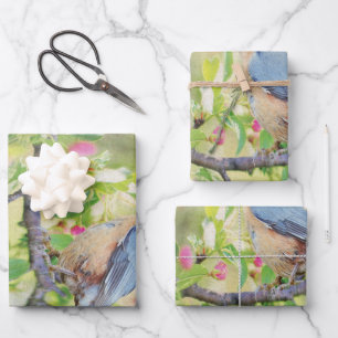 Bird Fanatic Wrapping Paper Sheet