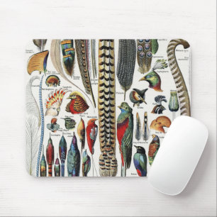 Bird Feather Wildlife Antique Feathers Art Nouveau Mouse Pad