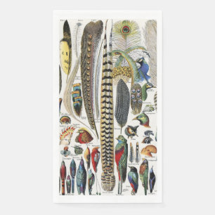 Bird Feather Wildlife Antique Feathers Art Nouveau Napkin