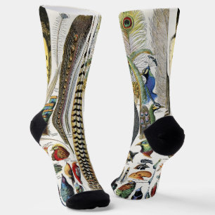 Bird Feather Wildlife Antique Feathers Art Nouveau Socks