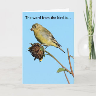 Bird (Finch) on Dried Sunflower Birthday Card