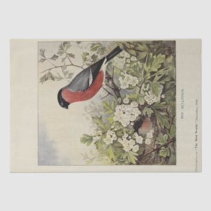 Bird Floral Ephemera Decoupage Vintage Finch Tissue Paper