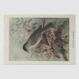 Bird Floral Ephemera Decoupage Vintage Warbler Tissue Paper