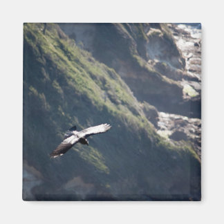 Bird Fly MAGNET
