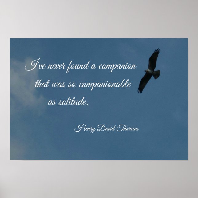 Bird flying high with quote about solitude. poster (Front)