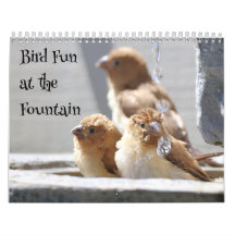 Bird Fun at the Fountain