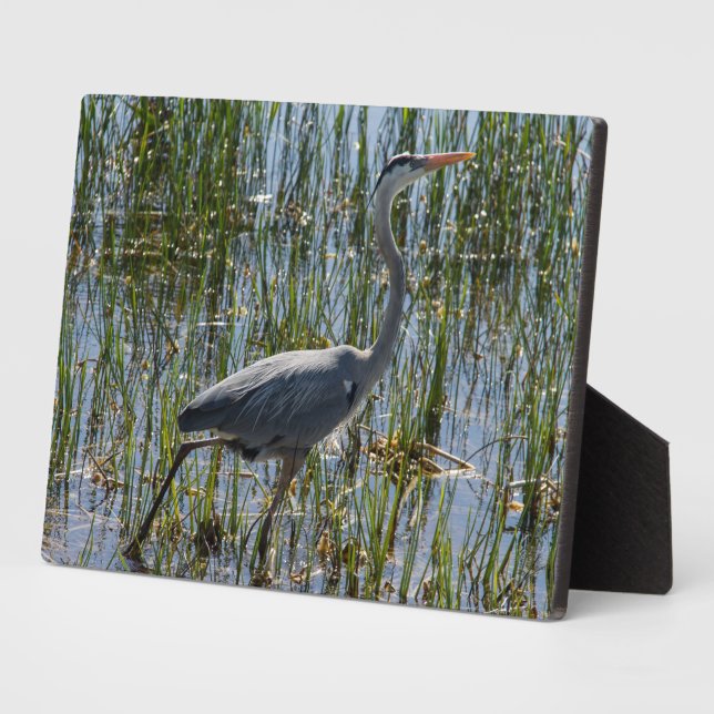 Bird Great Blue Heron Photo Plaque (Side)