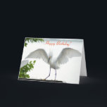Bird Happy Birthday Sister Greeting Card<br><div class="desc">This 'Photograph' is copyrighted by me, Christina Spiegeland. This photograph is NOT to be sold on Amazon. Greeting Card with the phrase "Happy Birthday!, with a photograph of a white Egret Bird stretching her wings". Inside of card says "Happy Birthday! To the Greatest Sister in the world!". Copyright 2015-2016, by...</div>