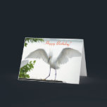 Bird Happy Birthday Sister Greeting Card<br><div class="desc">This 'Photograph' is copyrighted by me, Christina Spiegeland. This photograph is NOT to be sold on Amazon. Greeting Card with the phrase "Happy Birthday!, with a photograph of a white Egret Bird stretching her wings". Inside of card says "Happy Birthday! To the Greatest Sister in the world!". Copyright 2015-2016, by...</div>