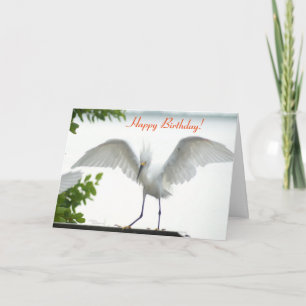 Bird Happy Birthday Sister Greeting Card